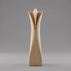 Roi minimaliste